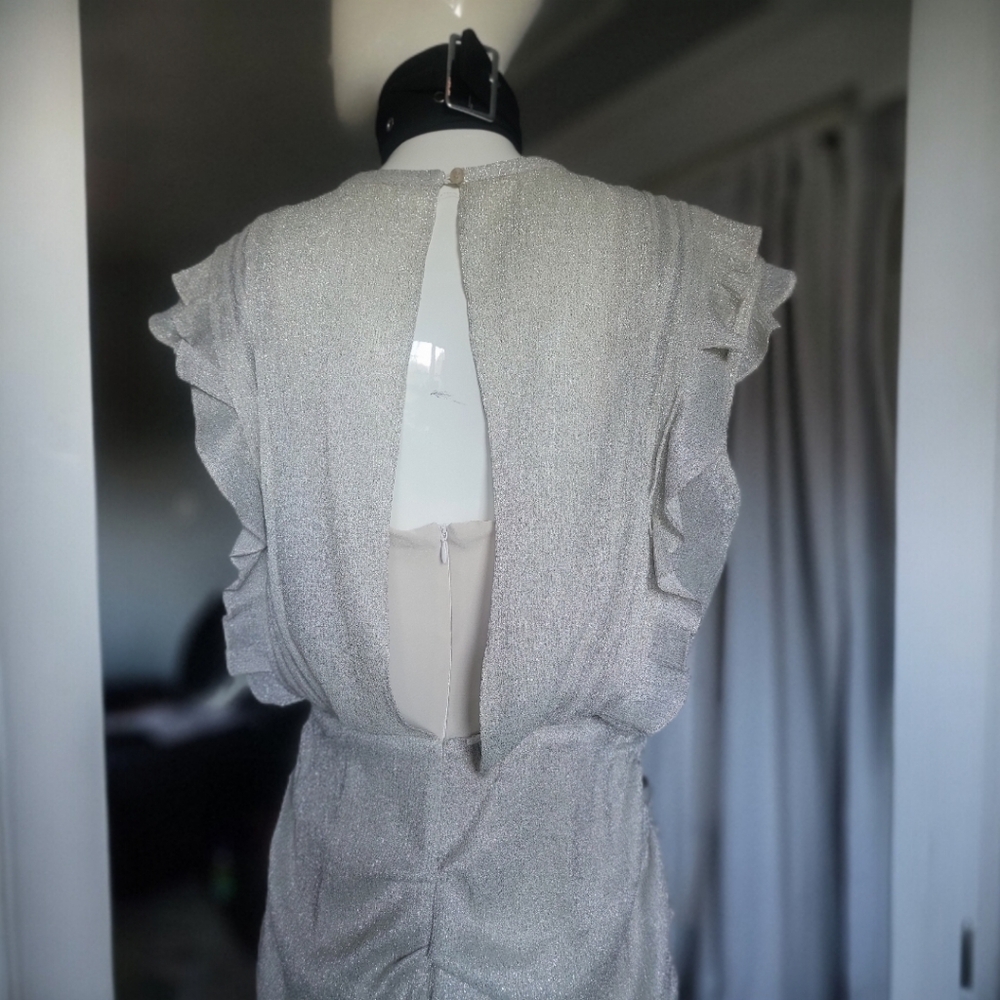 Chic Silver Ruffled Mini Dress - Picture 5 of 13